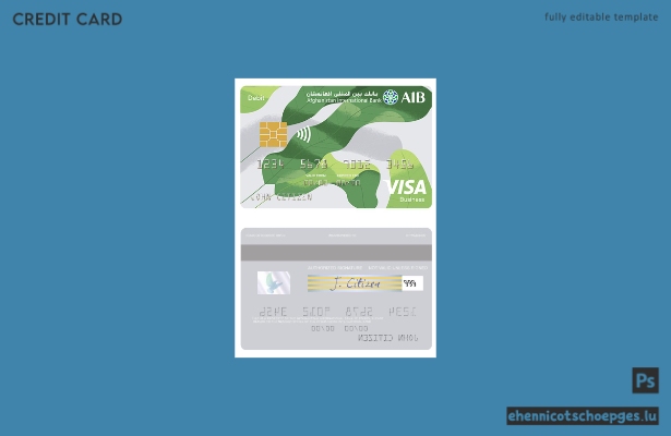 Beispielvorschau einer Visa Business Debitkarte der Afghanistan International Bank